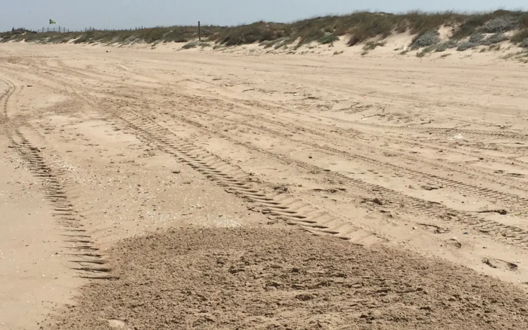Playas nudistas en Valencia