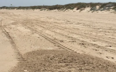 Playas nudistas en Valencia